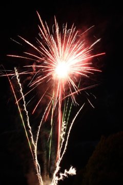 t_IMG_5370.jpg